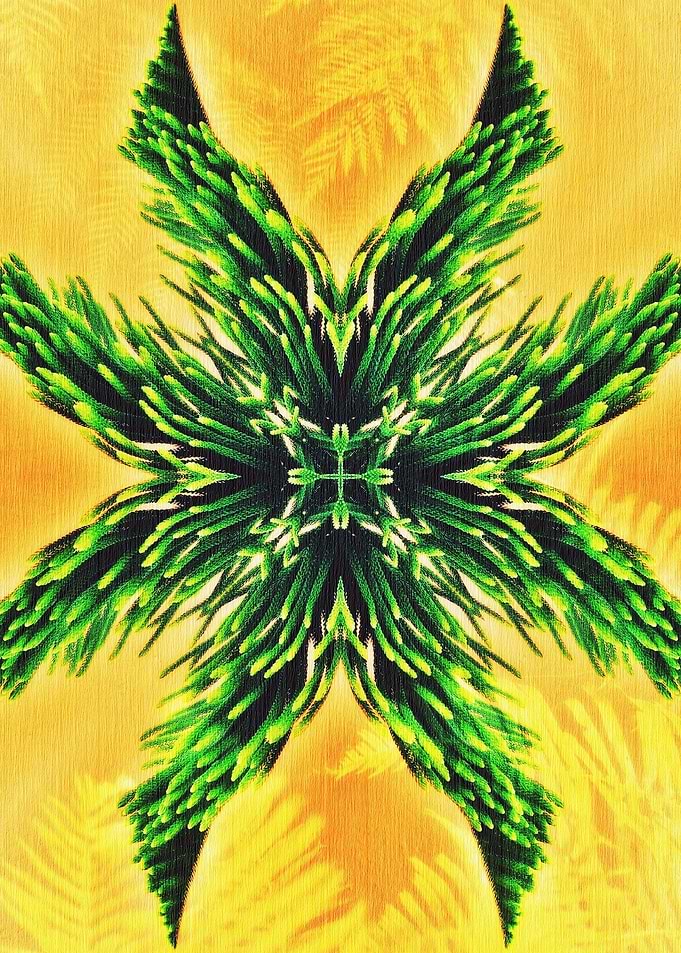 Artistic Nature Carbon