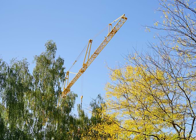 Crane