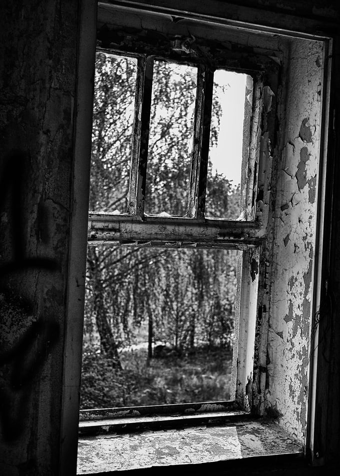 Window