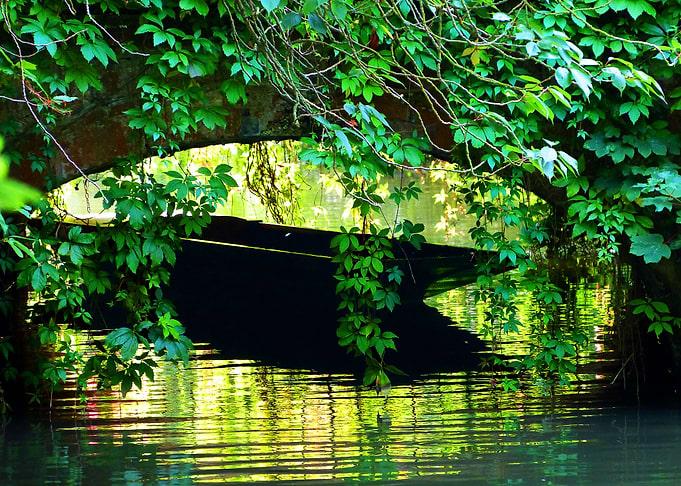 Going Punting