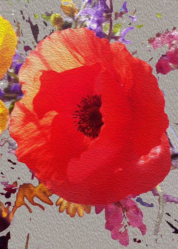Delicate poppy