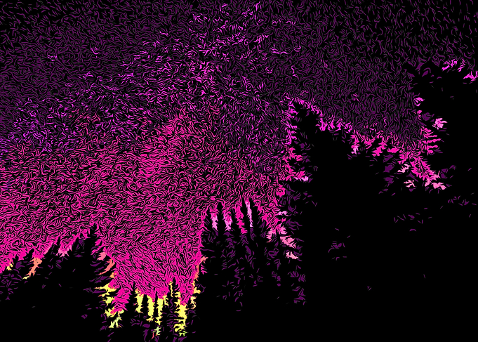Forrest of Love