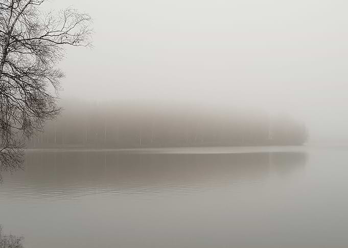 Fog 2