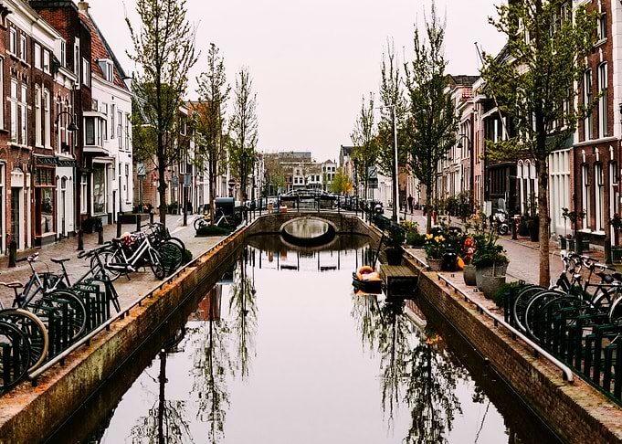 Gouda