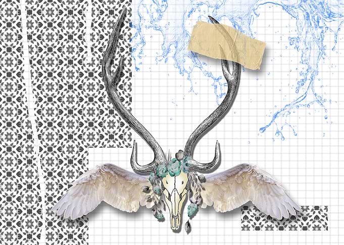 Stag Collage