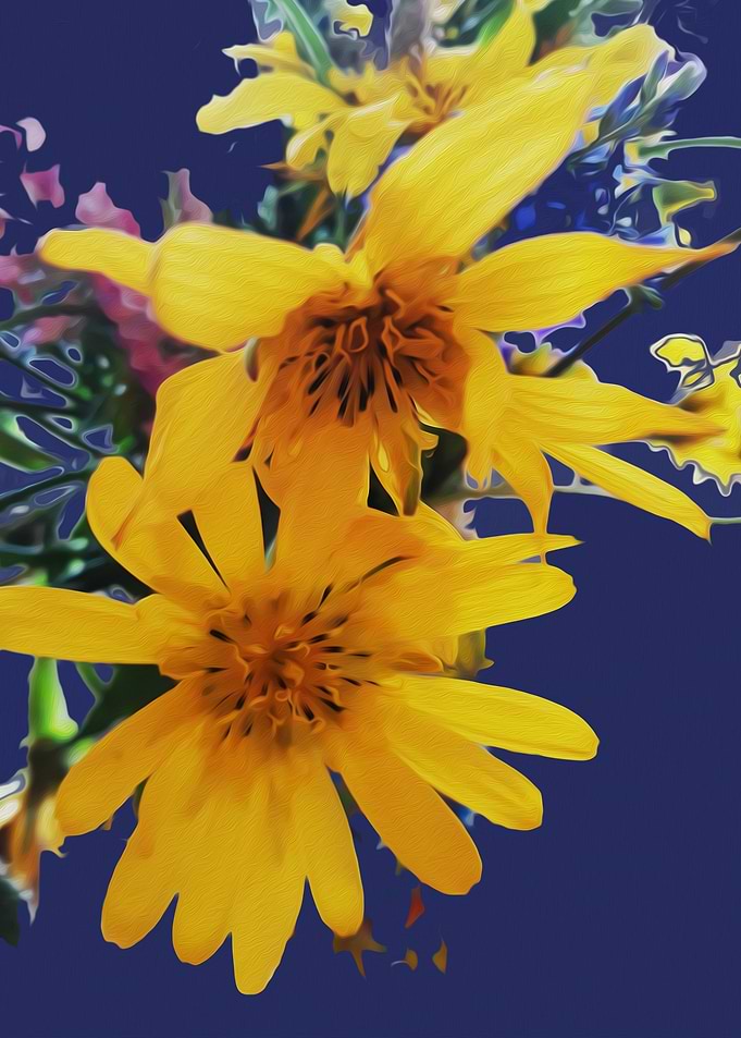 Sunshine flowers