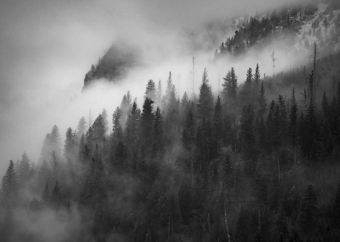 Dense Fog