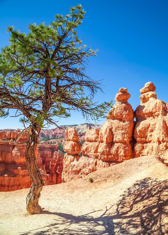 BRYCE CANYON Hiking path