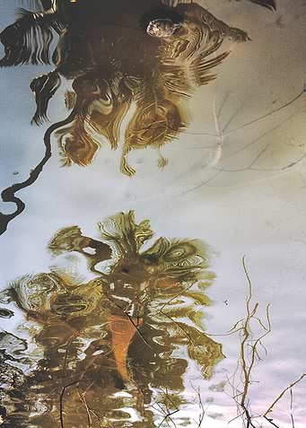 water memories