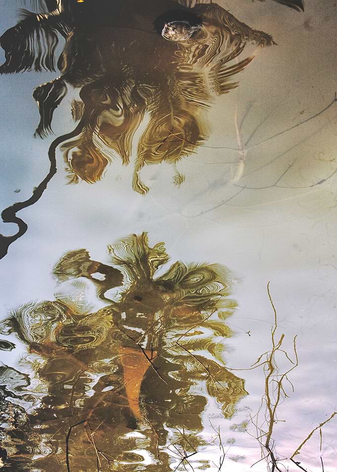 water memories