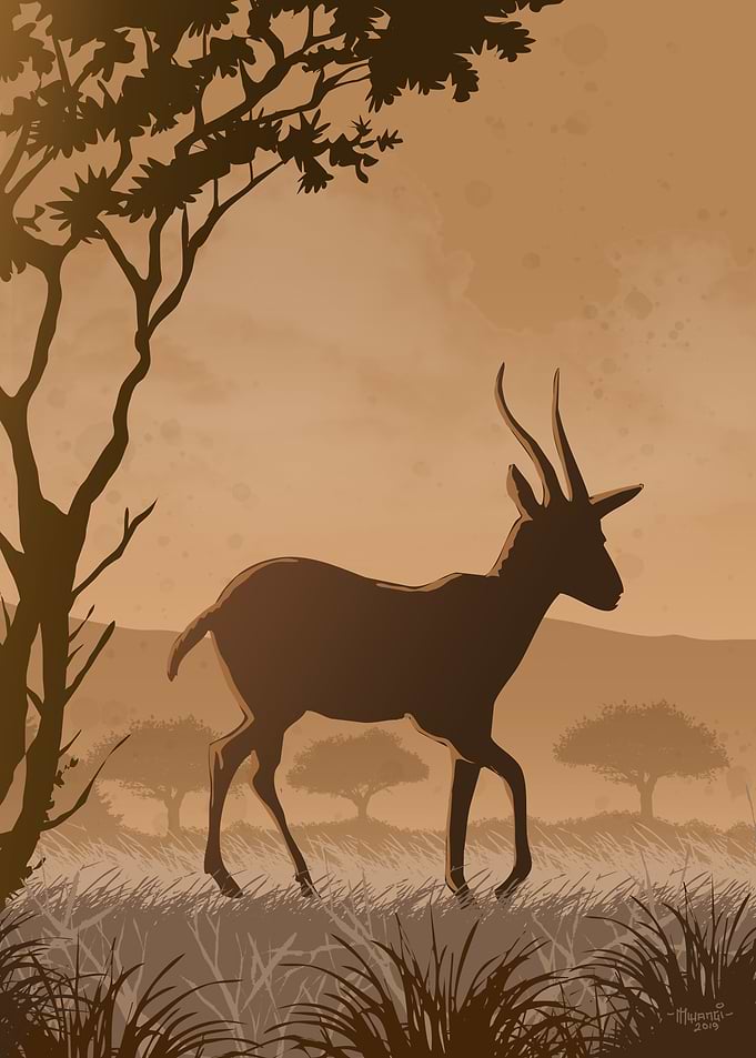 Silhouette Gazelle