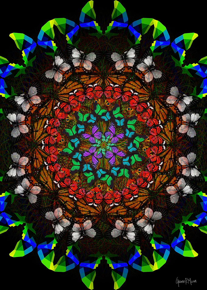 Cosmic Butterfly