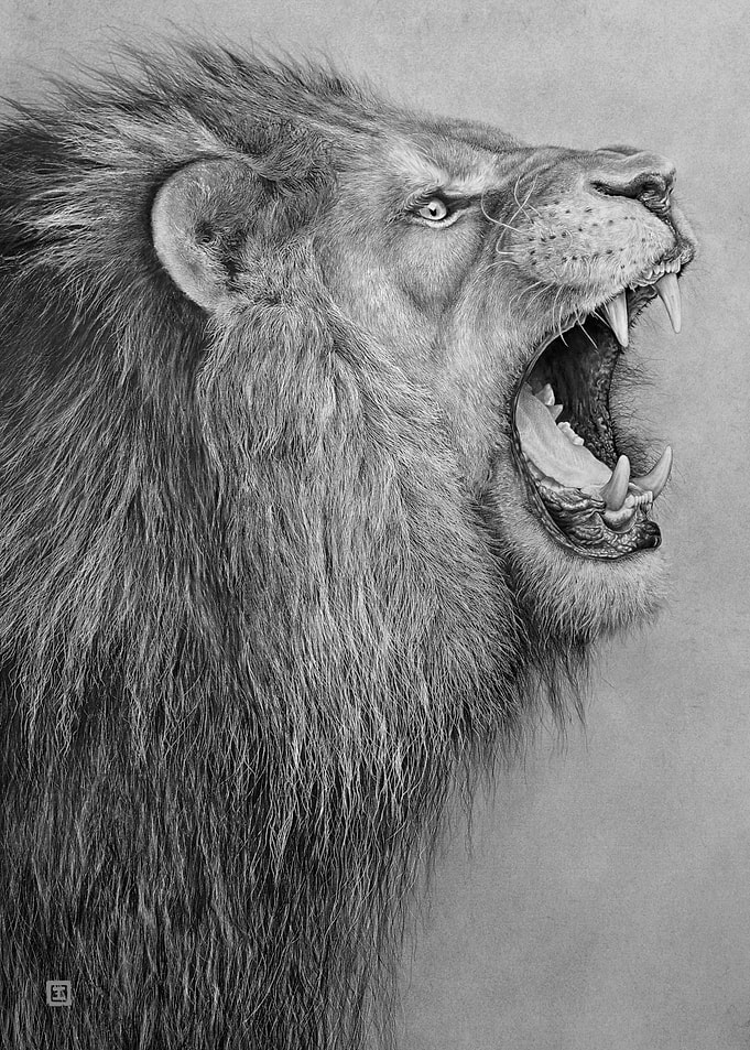 Face to face, Lion