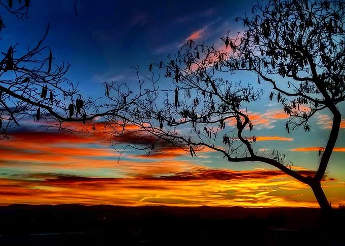 Desert Sunset