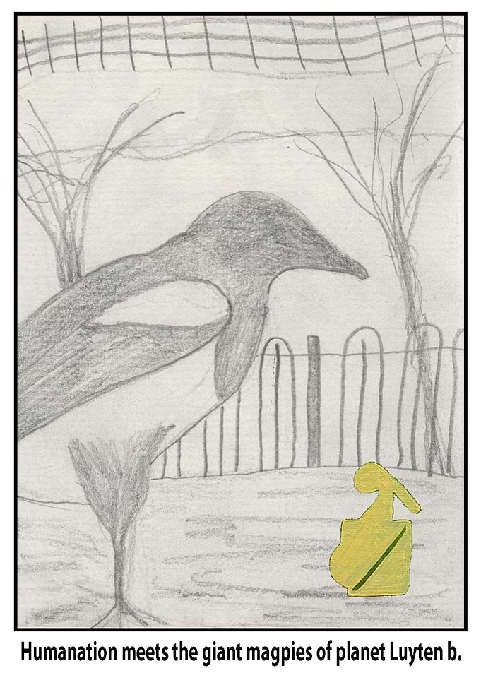 Magpie