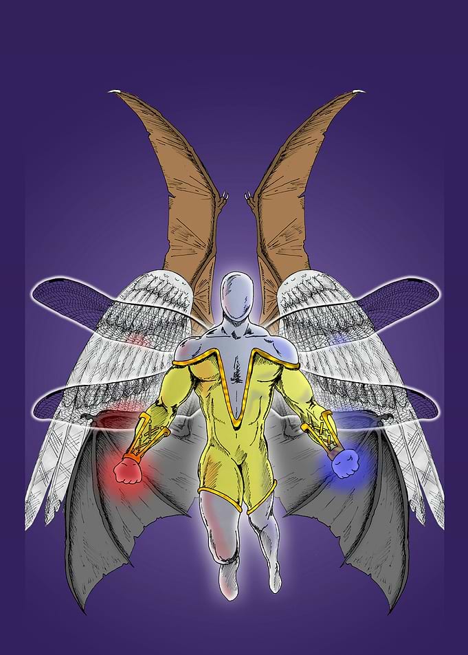 The Wingman