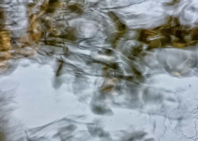 water speak