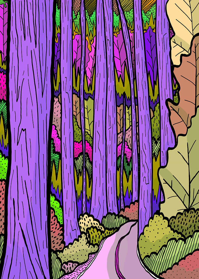Purple bark forest