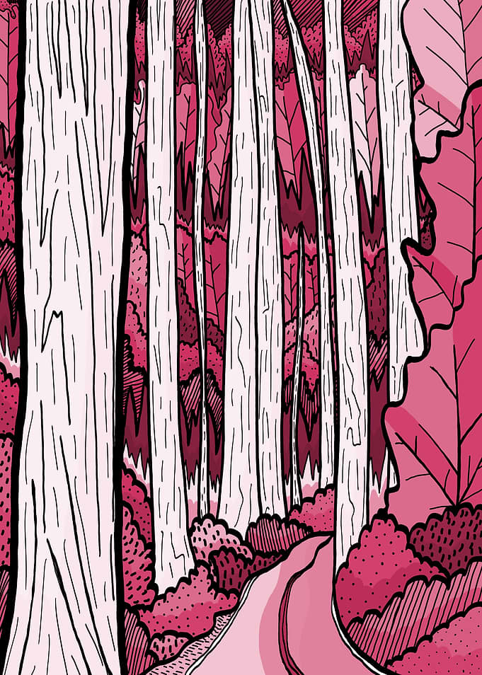 The red woodland forest