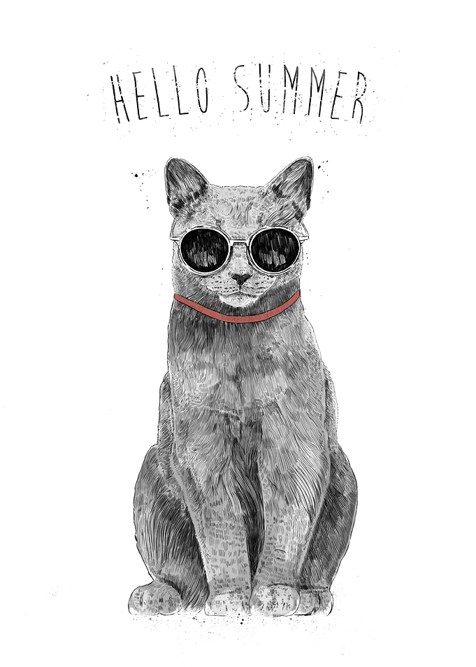 Hello Summer