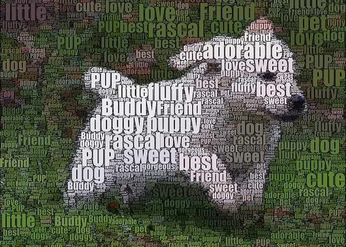 Puppy