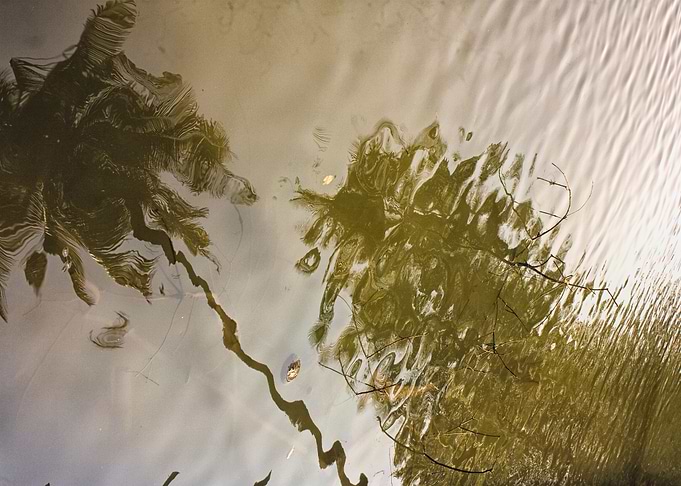 water stories