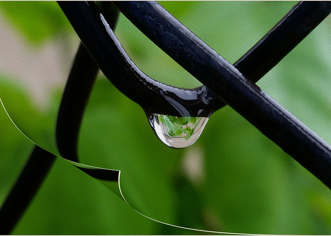 Drop of rain