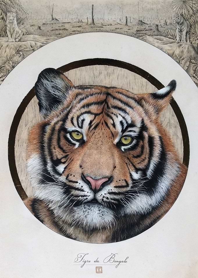Face to face, Tiger
