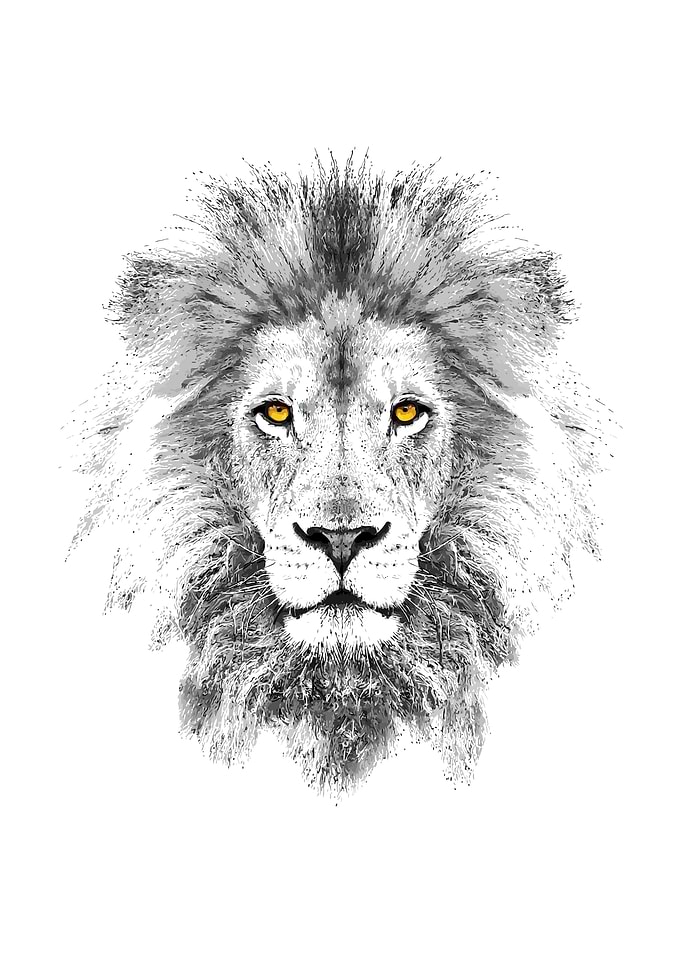 face it like a lion
