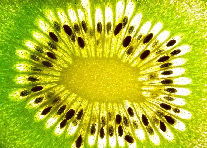 Kiwi Slice