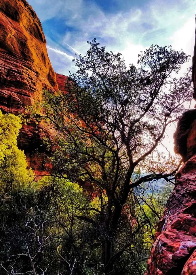Mother Nature