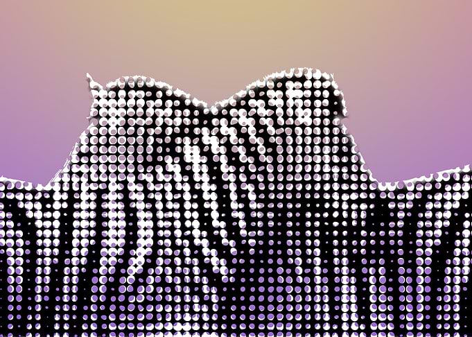 zebra love