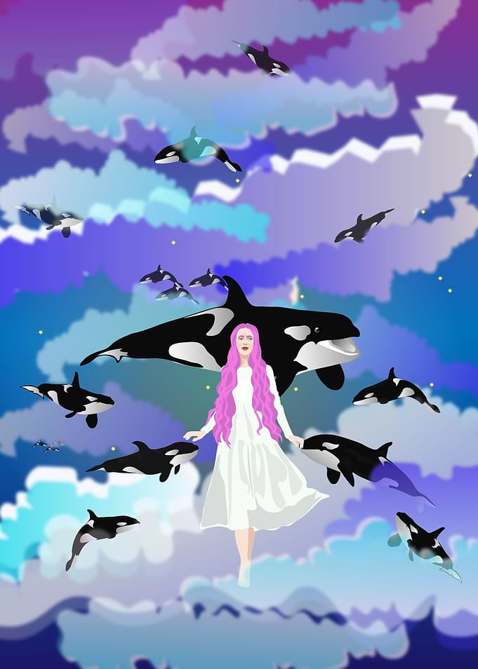 fly with whales