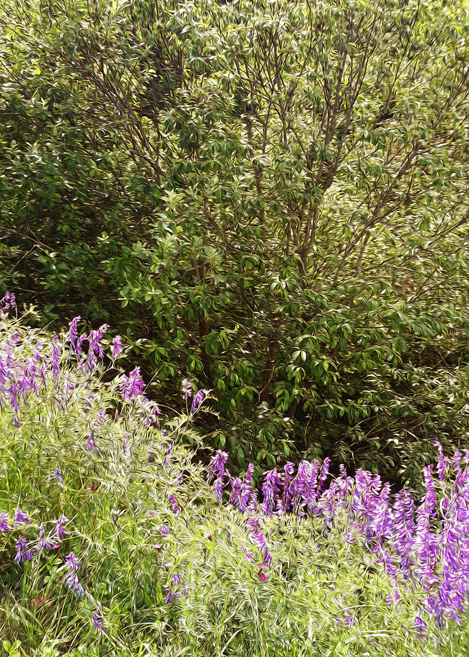 Magic hill
