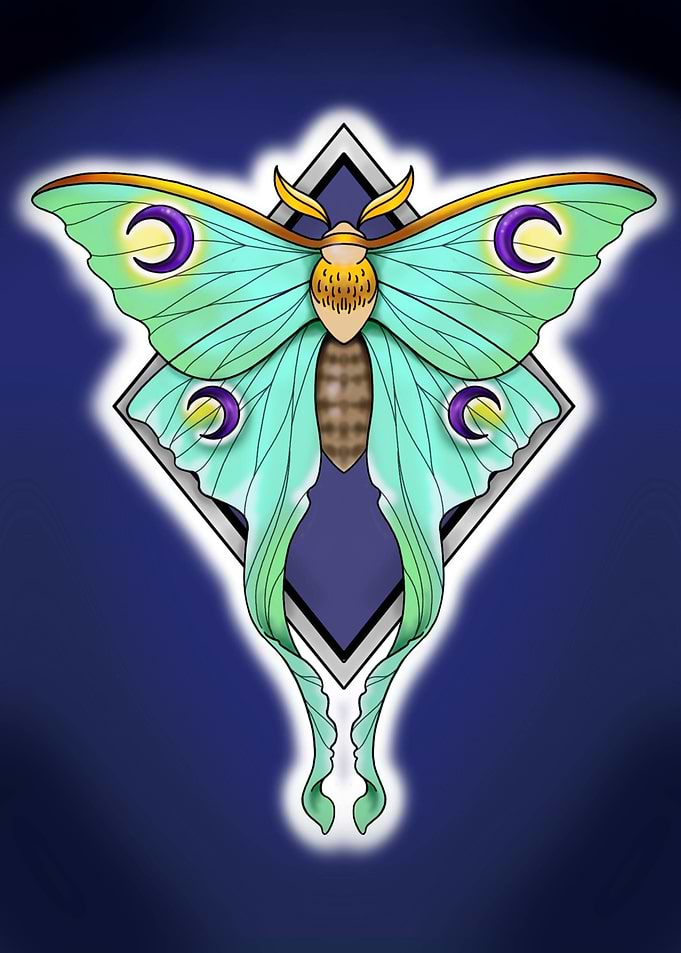 boho Moth