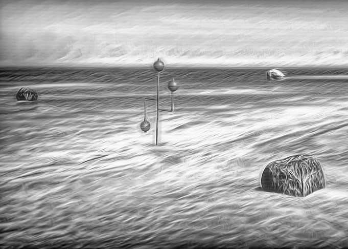Occurrence on the Bay