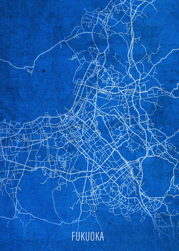 Fukuoka City Street Map