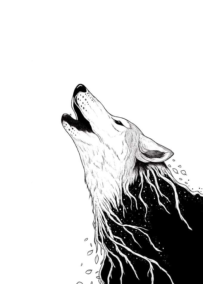 Howl