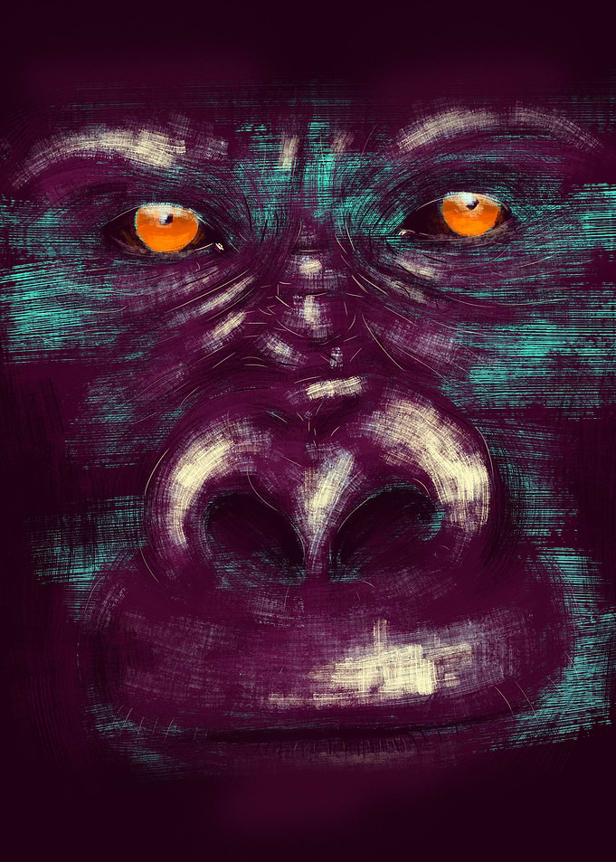 Gorilla