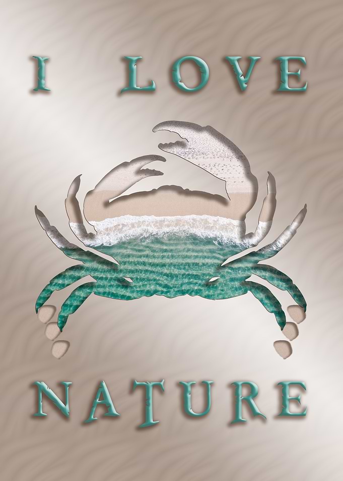 crab 1