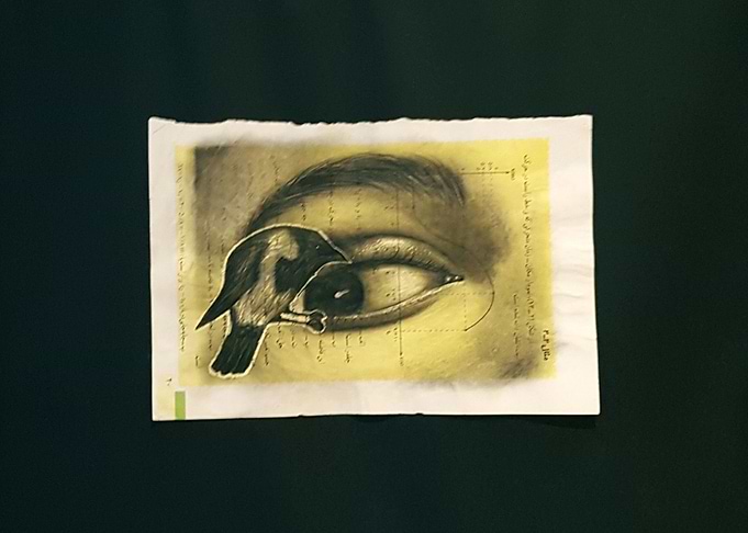 The Crow inside me