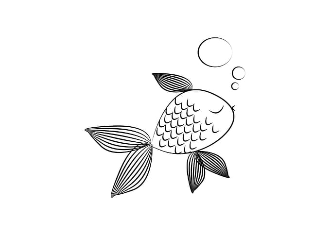 fishie