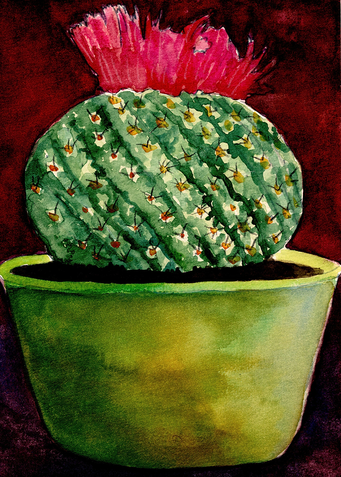 Little Green Cactus