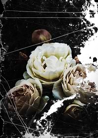 Faded flowers 1