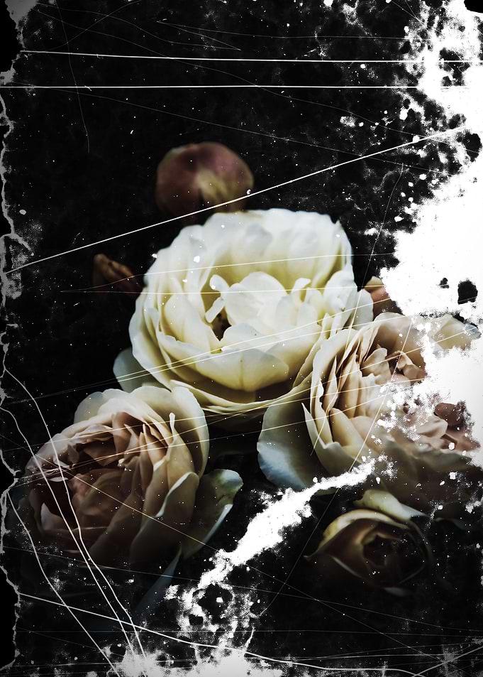 Faded flowers 1