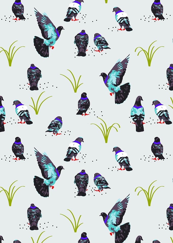 Pigeons