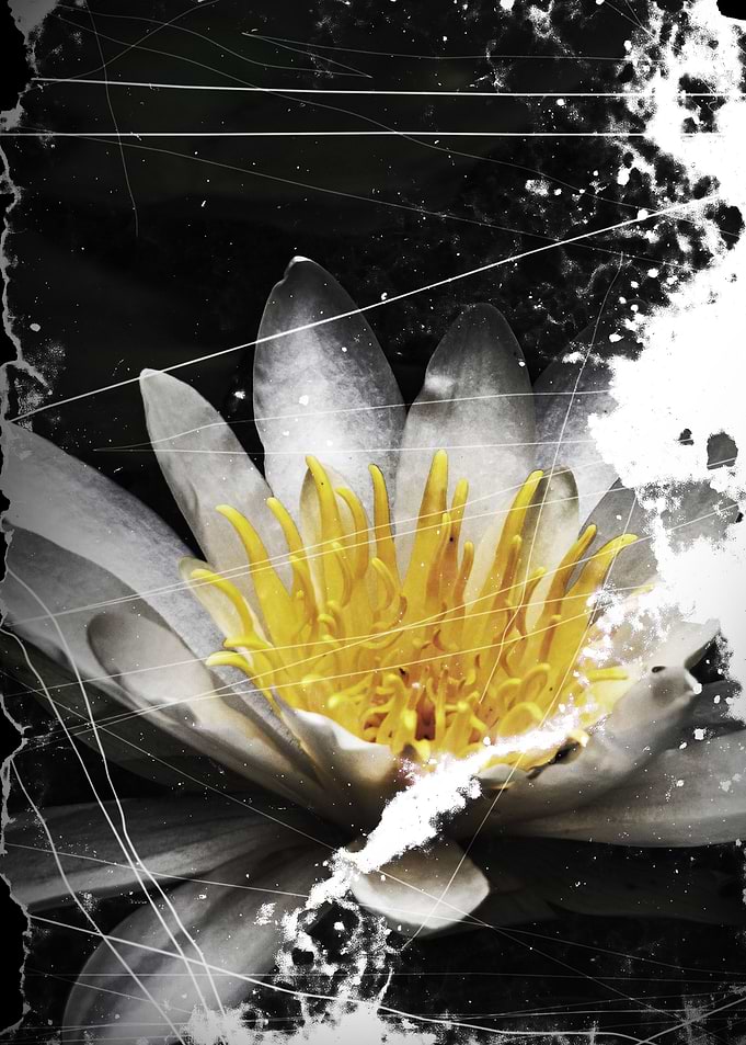 Faded flowers 3