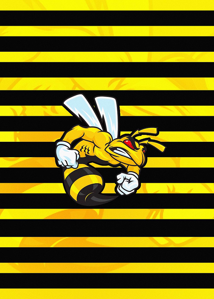 Bee Poster