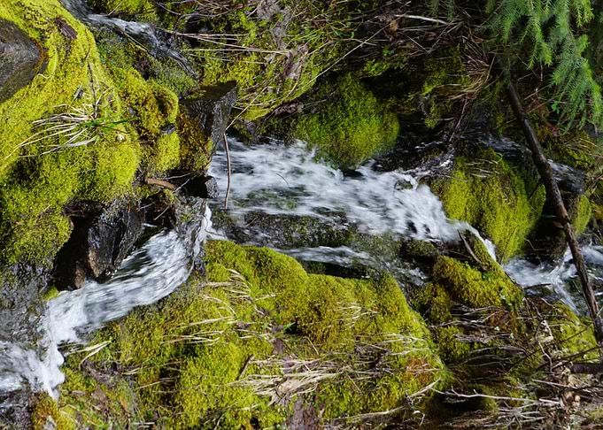 Spring Stream