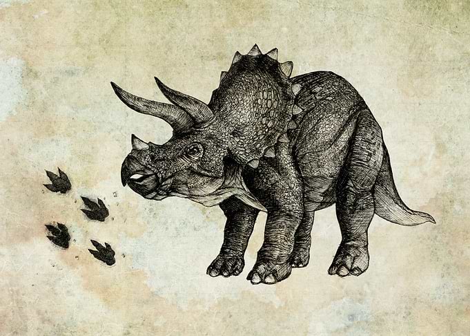 triceratops dinosaur